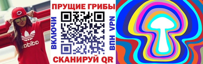 Галлюциногенные грибы Magic Shrooms  Вилючинск 